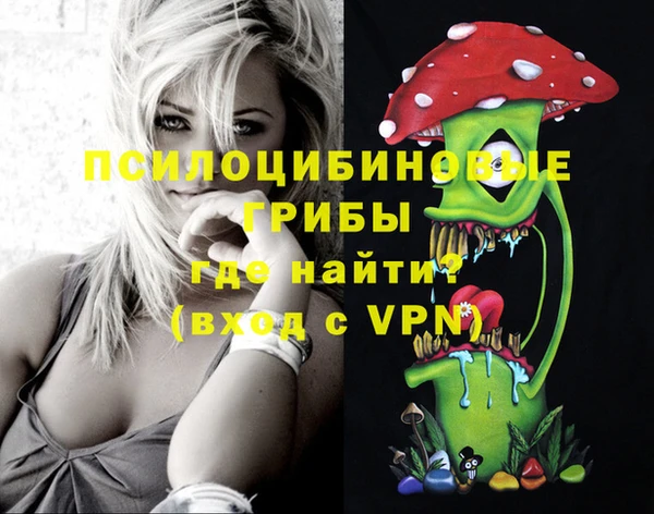 молекула духа Алзамай